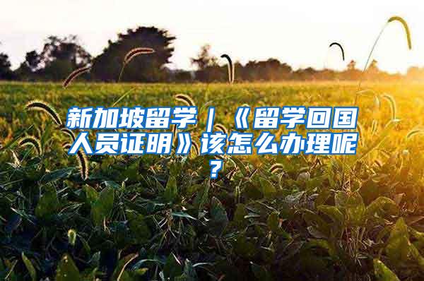 新加坡留学｜《留学回国人员证明》该怎么办理呢？