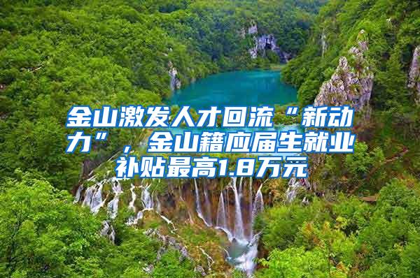 金山激发人才回流“新动力”，金山籍应届生就业补贴最高1.8万元