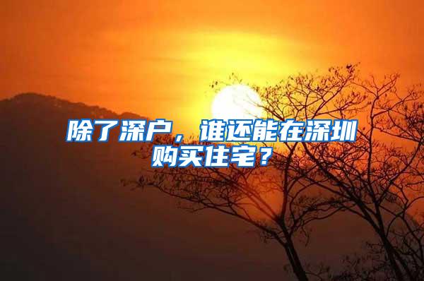 除了深户，谁还能在深圳购买住宅？