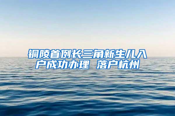 铜陵首例长三角新生儿入户成功办理 落户杭州