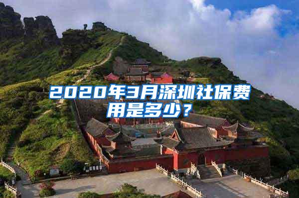 2020年3月深圳社保费用是多少？