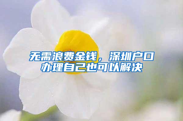 无需浪费金钱，深圳户口办理自己也可以解决