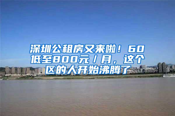 深圳公租房又来啦！60㎡低至800元／月，这个区的人开始沸腾了