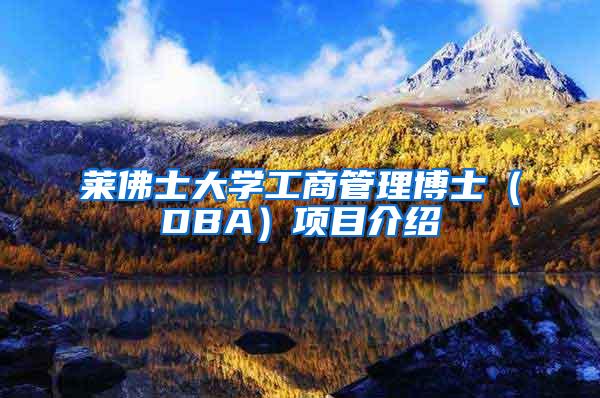 莱佛士大学工商管理博士（DBA）项目介绍