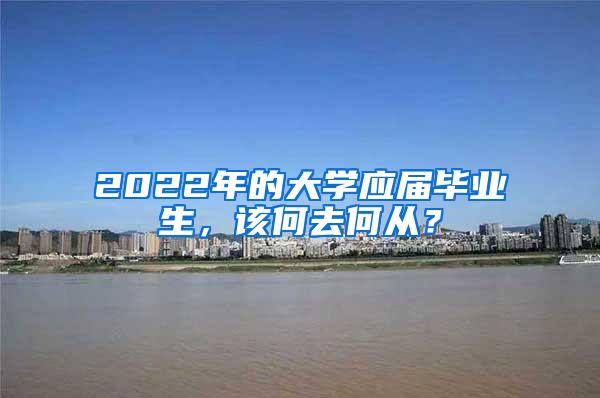 2022年的大学应届毕业生，该何去何从？