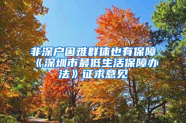 非深户困难群体也有保障《深圳市最低生活保障办法》征求意见