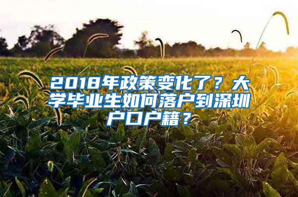 2018年政策变化了？大学毕业生如何落户到深圳户口户籍？