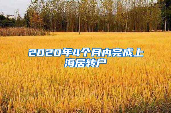 2020年4个月内完成上海居转户