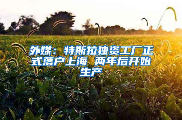 外媒：特斯拉独资工厂正式落户上海 两年后开始生产