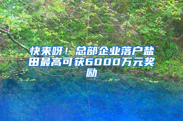 快来呀！总部企业落户盐田最高可获6000万元奖励