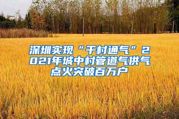 深圳实现“千村通气”2021年城中村管道气供气点火突破百万户