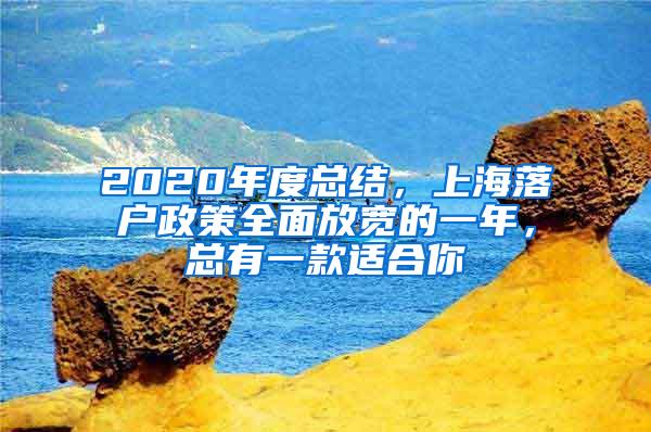 2020年度总结，上海落户政策全面放宽的一年，总有一款适合你