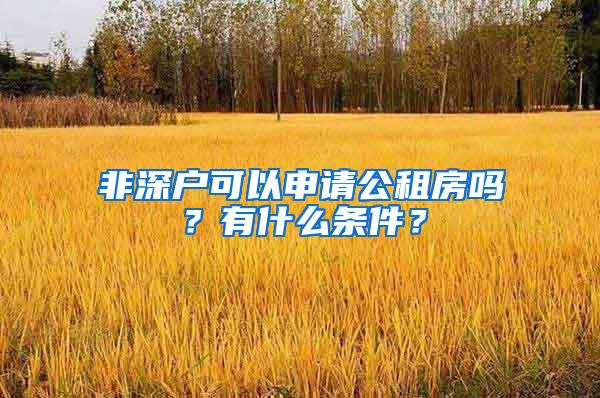 非深户可以申请公租房吗？有什么条件？