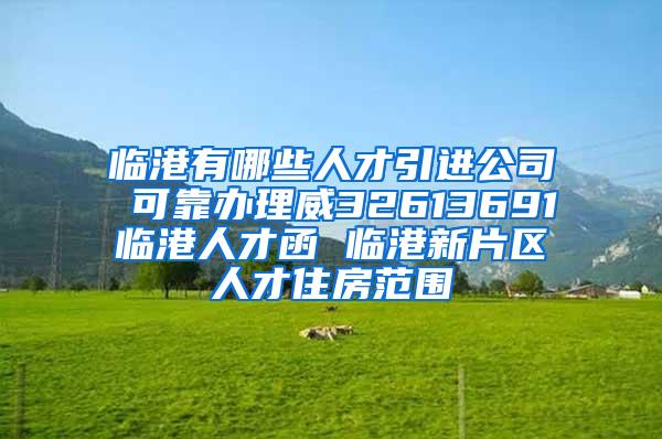 临港有哪些人才引进公司 可靠办理威32613691临港人才函 临港新片区人才住房范围