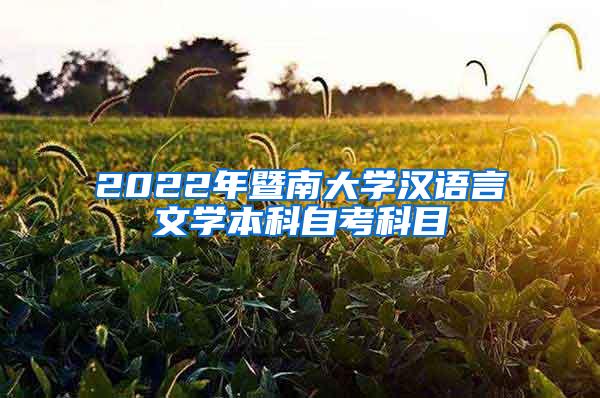 2022年暨南大学汉语言文学本科自考科目