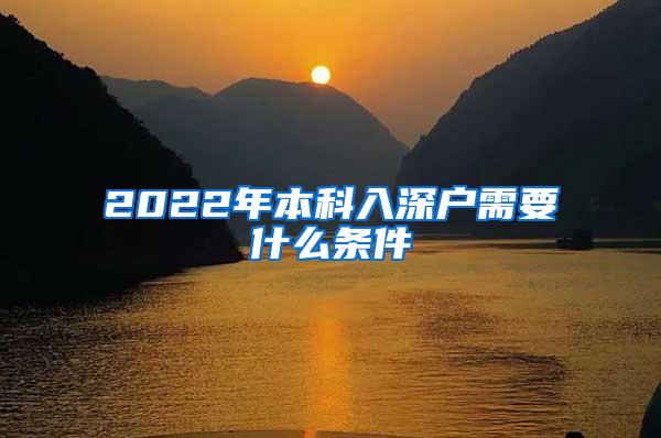 2022年本科入深户需要什么条件