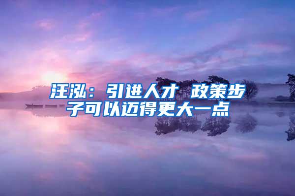 汪泓：引进人才 政策步子可以迈得更大一点