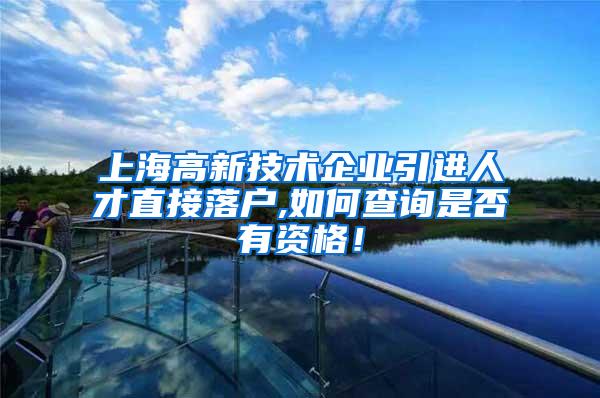上海高新技术企业引进人才直接落户,如何查询是否有资格！