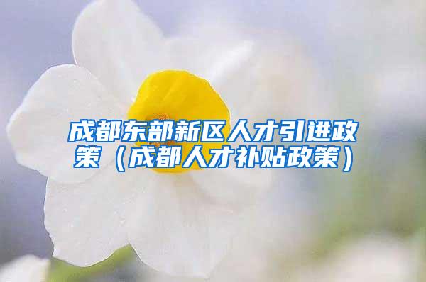 成都东部新区人才引进政策（成都人才补贴政策）