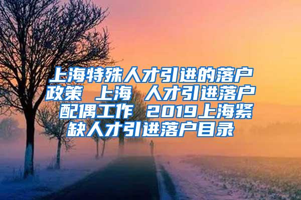 上海特殊人才引进的落户政策 上海 人才引进落户 配偶工作 2019上海紧缺人才引进落户目录