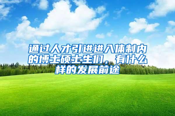 通过人才引进进入体制内的博士硕士生们，有什么样的发展前途