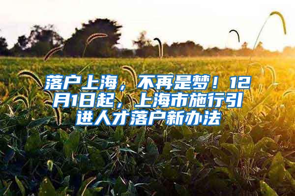 落户上海，不再是梦！12月1日起，上海市施行引进人才落户新办法