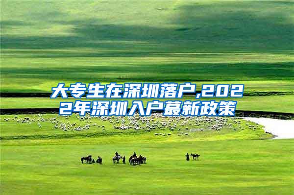 大专生在深圳落户,2022年深圳入户蕞新政策