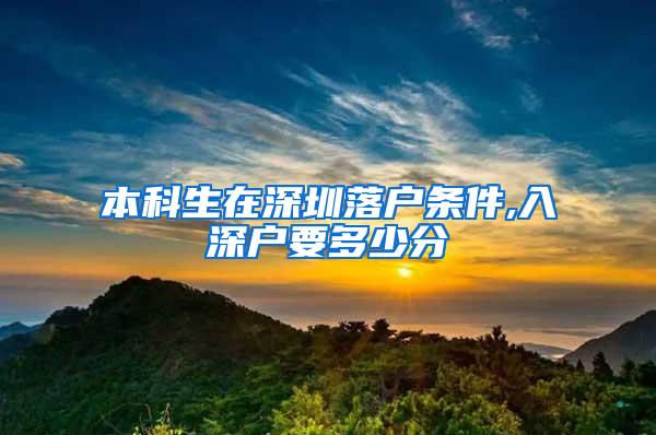 本科生在深圳落户条件,入深户要多少分