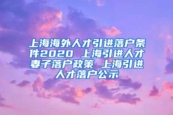 上海海外人才引进落户条件2020 上海引进人才妻子落户政策 上海引进人才落户公示