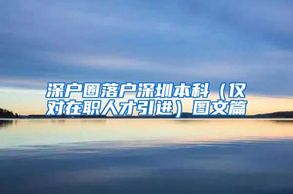 深户圈落户深圳本科（仅对在职人才引进）图文篇