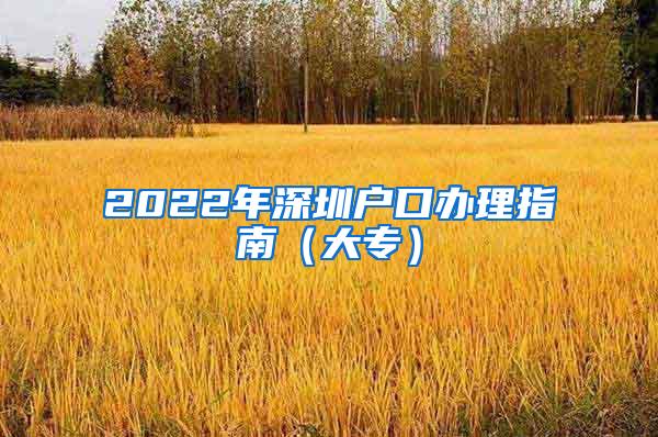 2022年深圳户口办理指南（大专）