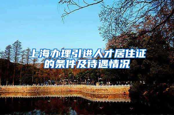 上海办理引进人才居住证的条件及待遇情况