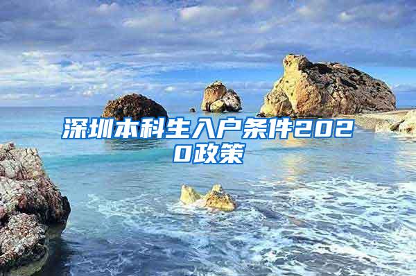 深圳本科生入户条件2020政策