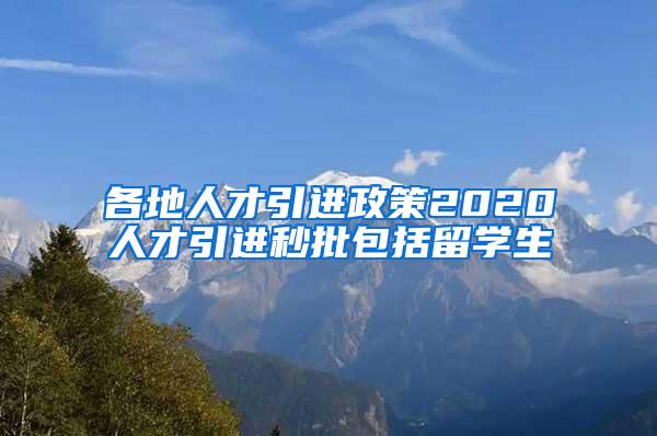 各地人才引进政策2020人才引进秒批包括留学生