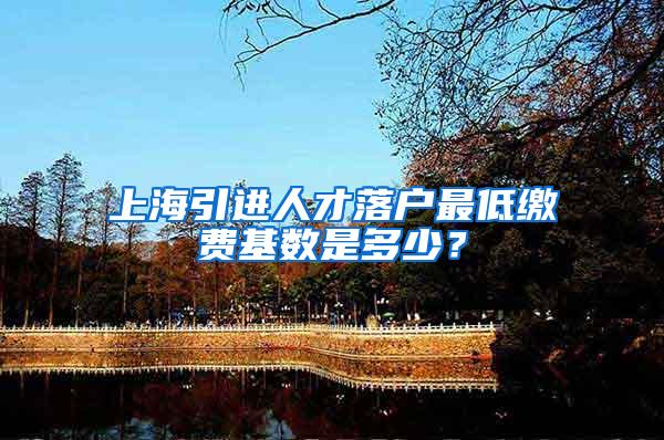 上海引进人才落户最低缴费基数是多少？