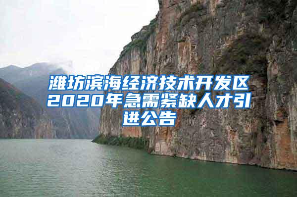 潍坊滨海经济技术开发区2020年急需紧缺人才引进公告