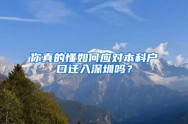 你真的懂如何应对本科户口迁入深圳吗？
