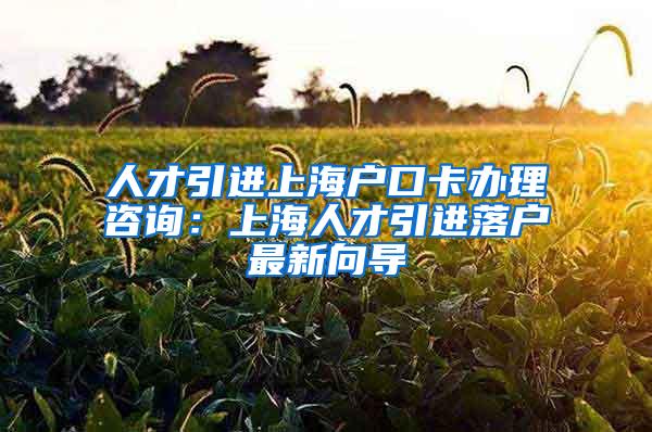 人才引进上海户口卡办理咨询：上海人才引进落户最新向导