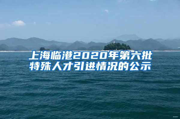 上海临港2020年第六批特殊人才引进情况的公示