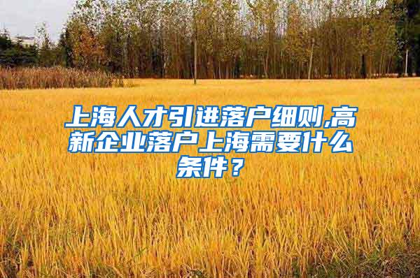 上海人才引进落户细则,高新企业落户上海需要什么条件？