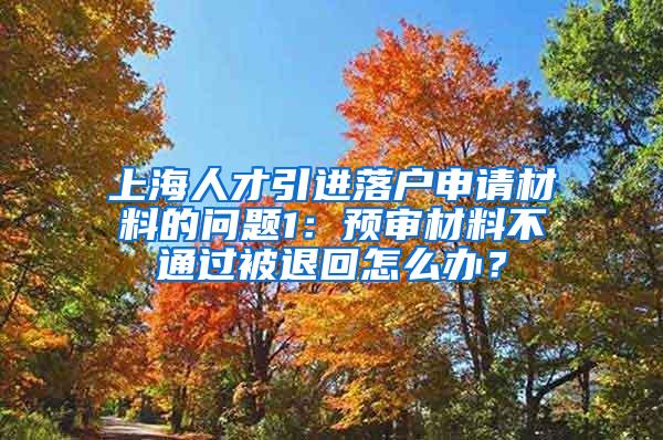 上海人才引进落户申请材料的问题1：预审材料不通过被退回怎么办？