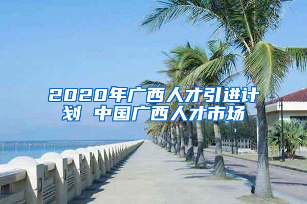 2020年广西人才引进计划 中国广西人才市场