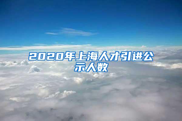 2020年上海人才引进公示人数