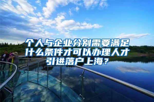 个人与企业分别需要满足什么条件才可以办理人才引进落户上海？