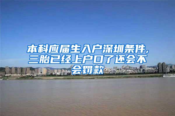 本科应届生入户深圳条件,三胎已经上户口了还会不会罚款