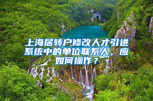 上海居转户修改人才引进系统中的单位联系人，应如何操作？