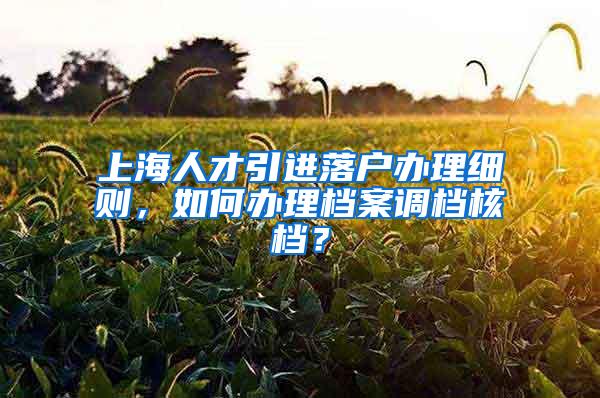 上海人才引进落户办理细则，如何办理档案调档核档？