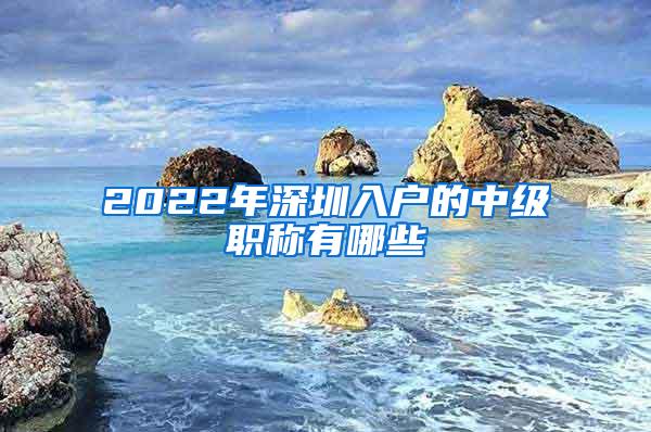2022年深圳入户的中级职称有哪些