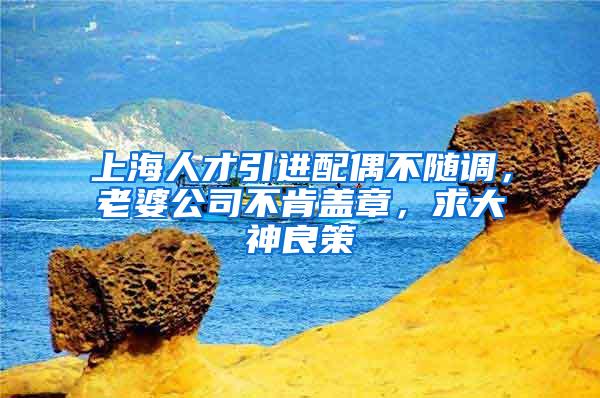 上海人才引进配偶不随调，老婆公司不肯盖章，求大神良策