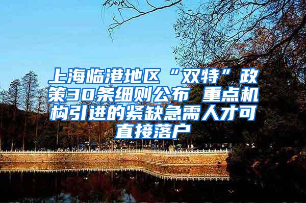 上海临港地区“双特”政策30条细则公布 重点机构引进的紧缺急需人才可直接落户